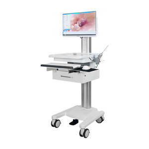 Disposable Medical Endoscopic Camera System