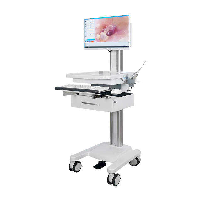 Disposable Medical Endoscopic Camera System