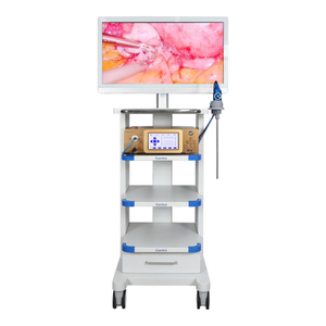 4K Fluorescent Endoscope Camera System