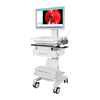Medical Endoscop Image Processing System