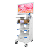 4K Fluorescent Endoscope Camera System