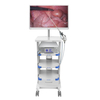 HD Integrated Medical Endoscope Camera System