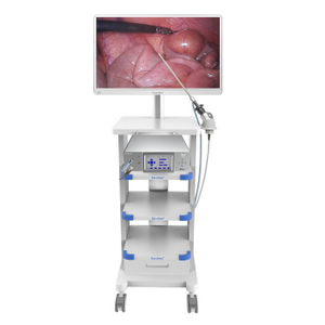 HD Integrated Medical Endoscope Camera System